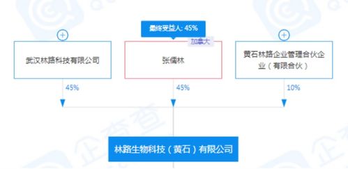 康橋悅生活《儒林外史》IP改發(fā)透視 儒式IP的穿越之道